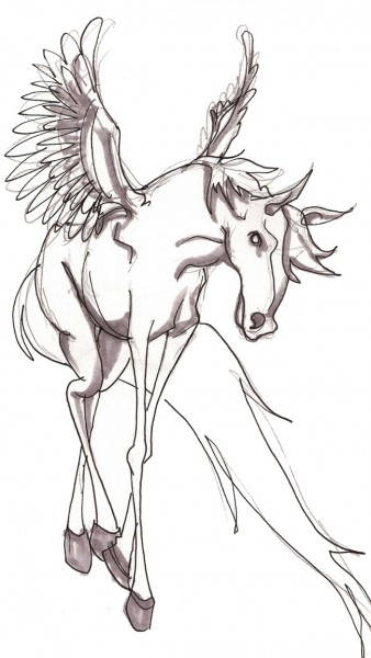 pegasus