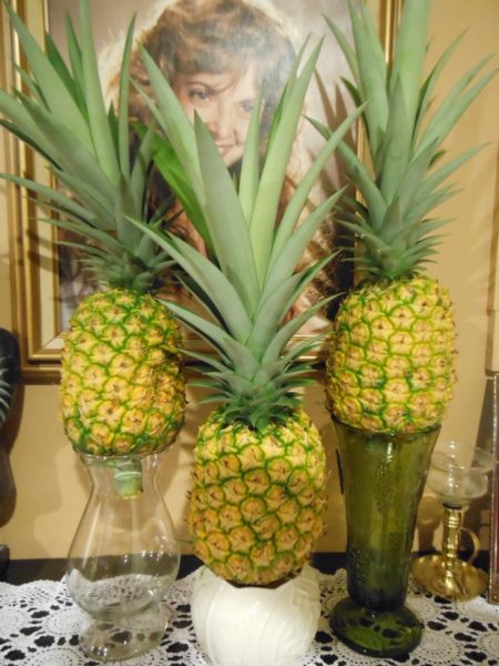 pineappleharvest2016